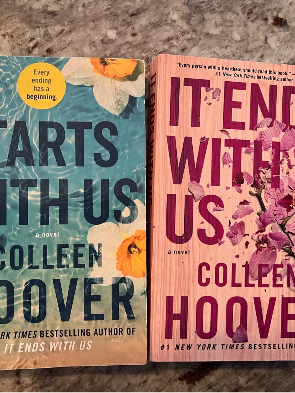 It Ends With Us - Blue & Pink Paperback Novel Set